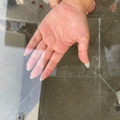 少し値下げ❣ADA 90cmガラス