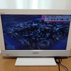 77.ソニー　TV テレビ　KDL-22EX300 22インチ　10年製　リモコンなし　B-CASカード有