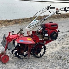 マメトラの中古が安い！激安で譲ります・無料であげます(2ページ目  