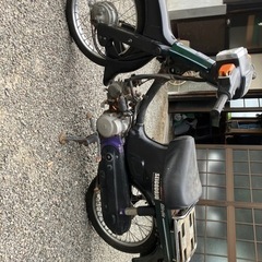 不動
バーディ50  　