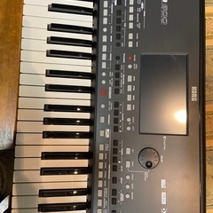 KORG pa600 professional arranger 