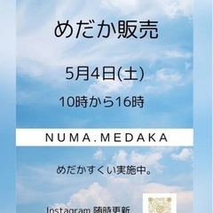 メダカ販売イベント in東大阪 お知らせ〜📢⑤の画像