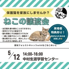 猫の譲渡会　名古屋市　中村区