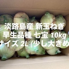 兵庫県 淡路島産 新玉ねぎ サイズ 2L 少し大きめ 10kg ...