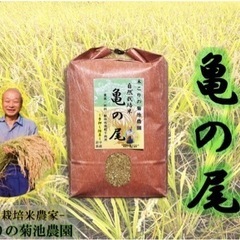 【自然栽培米農家】木こりの菊池農園の画像