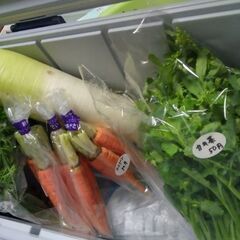 29日の新鮮野菜大根、人参、かき菜各々50円品出しします。
