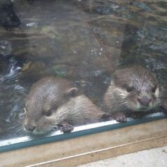 気の合う人探し中です