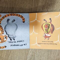 英語の絵本 Baby All 数学&科学セット