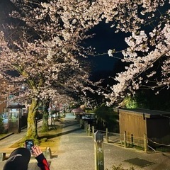 ポタラン活動【4月】さくら咲くお花見ラン - 金沢市