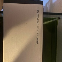 90センチスリム水槽一式(カージナル70匹以上、レッドビーシュリンプ30匹くらい、オトシンクルス6匹)