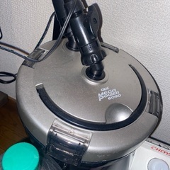 90センチスリム水槽一式(カージナル70匹以上、レッドビーシュリンプ30匹くらい、オトシンクルス6匹)