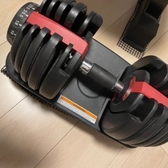 ダンベル　トレーニングベンチ