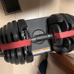 ダンベル　トレーニングベンチ