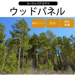 天然木　ウッドデッキパネル 全サイズまとめて89枚