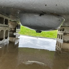 メダカ、金魚、らんちゅう飼育に