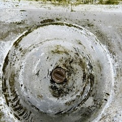 メダカ、金魚、らんちゅう飼育に