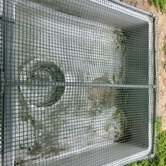 メダカ、金魚、らんちゅう飼育に