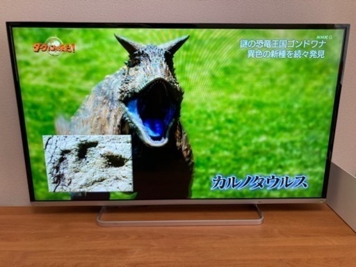 家電 テレビ 液晶テレビ