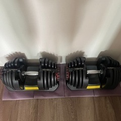 40キロダンベル2つ