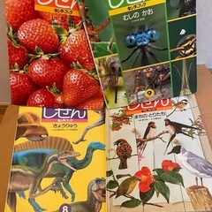 本日処分　　絵本　35冊　自然　生き物　虫　動物　食べ物　