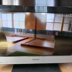 SONY液晶デジタルテレビKDL-22EX300