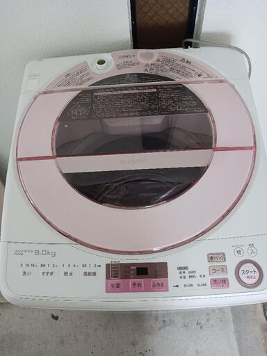 シャープ 洗濯機 8kg SHARP  ES-GV8A
