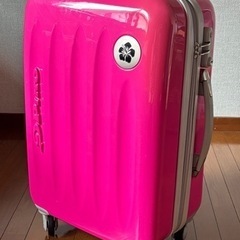 ピコ　スーツケース