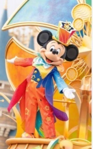 至急❣️ディズニーランド、ディズニーシー　入場券　優待券　2枚