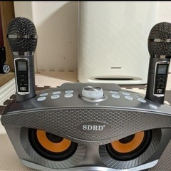 karaoke SDRD 306PLUS カラオケ スピーカー
