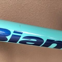 ビアンキ（Bianchi PIRATA）　２０インチ