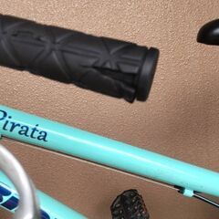 ビアンキ（Bianchi PIRATA）　２０インチ