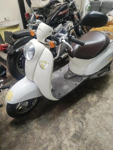 HONDA　スクーピー　中古車