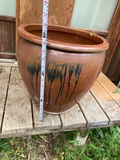 水瓶