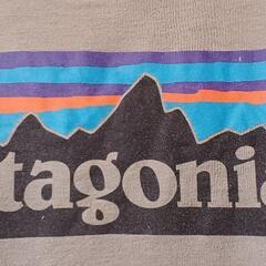 (お取引中)patagonia　Tシャツ