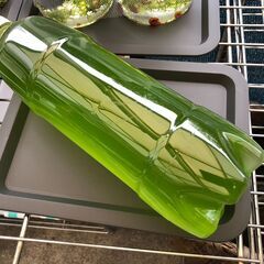 グリーンウォーター　種水　1500ml　1本