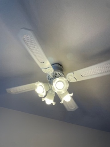 家具 照明器具