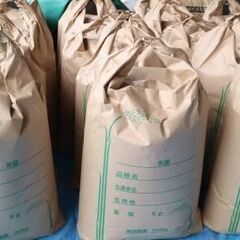 お米（5kg・10kg・15kg）白米・日本米・無洗米