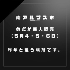 5月4.5.6日（3日間）　メダカ販売10:00〜の画像