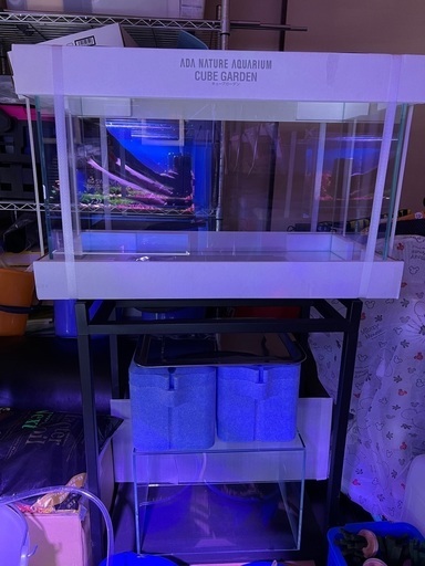 ADA CUBE GARDEN キューブガーデン 600x300x360mm