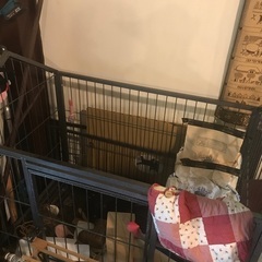 大型犬ケージ