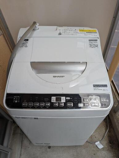 家電 生活家電 洗濯機