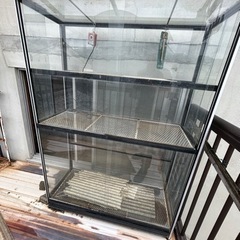 値下げ交渉⭕️ガラスの温室 爬虫類飼育ケース フィギュアラック