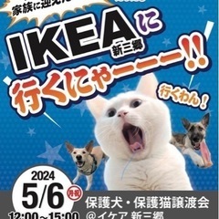 IKEA新三里　　保護犬・保護猫譲渡会