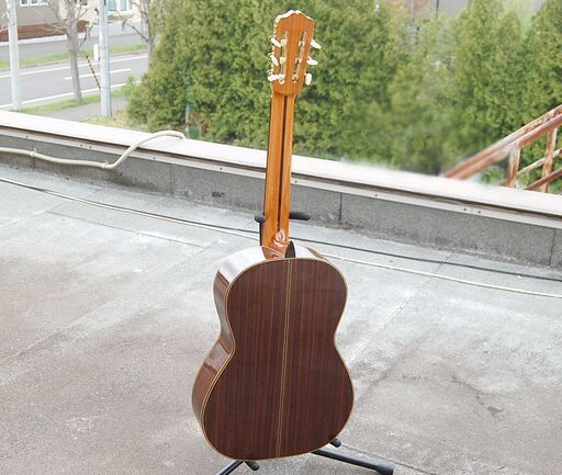 Grassroots グラスルーツ ESP G-Spec エレキギター (P1210swxY) 小平 