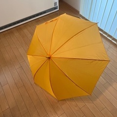 決まりました。小学生傘