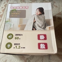 【ネット決済・配送可】電気毛布 電気ひざ掛け 188x130cm...
