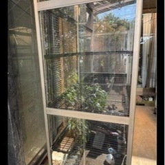 全面ガラス アルミ 温室 (2) NewカトレアⅡ JH-1650 屋根下カーポートにて