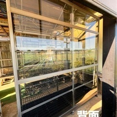 全面ガラス アルミ 温室 (3) NewカトレアⅡ JH-1650 訳あり品 屋根下カー