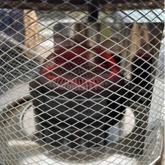 フジカハイペットKSP-229-21C　家電 季節、空調家電 ストーブ　家電 季節、空調家電 ストーブ