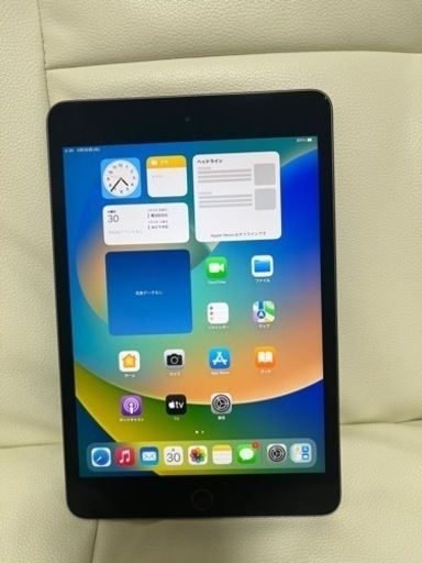 極美品　iPad mini 第5世代　64GB Wi-Fiモデル　スペースグレイ